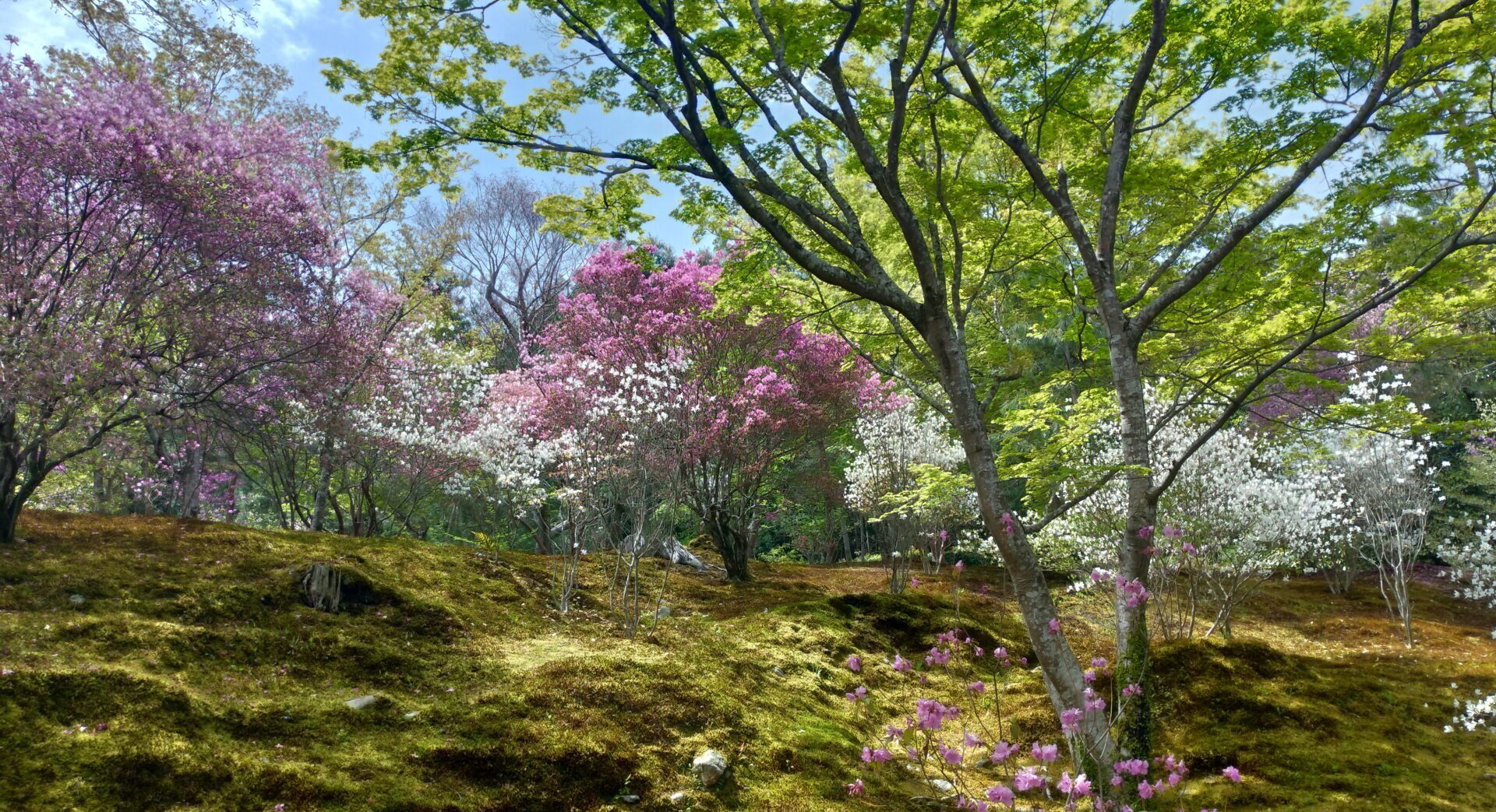 放送大学の教科書を売ってみる