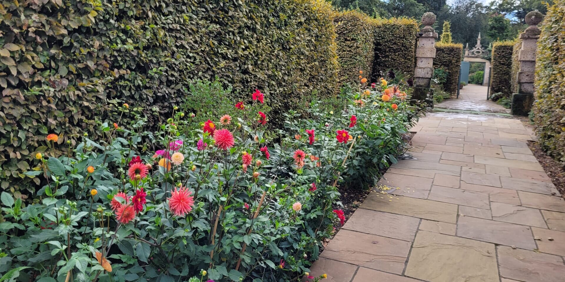 親との親子関係で傷ついた心を、子供との親子関係で癒す