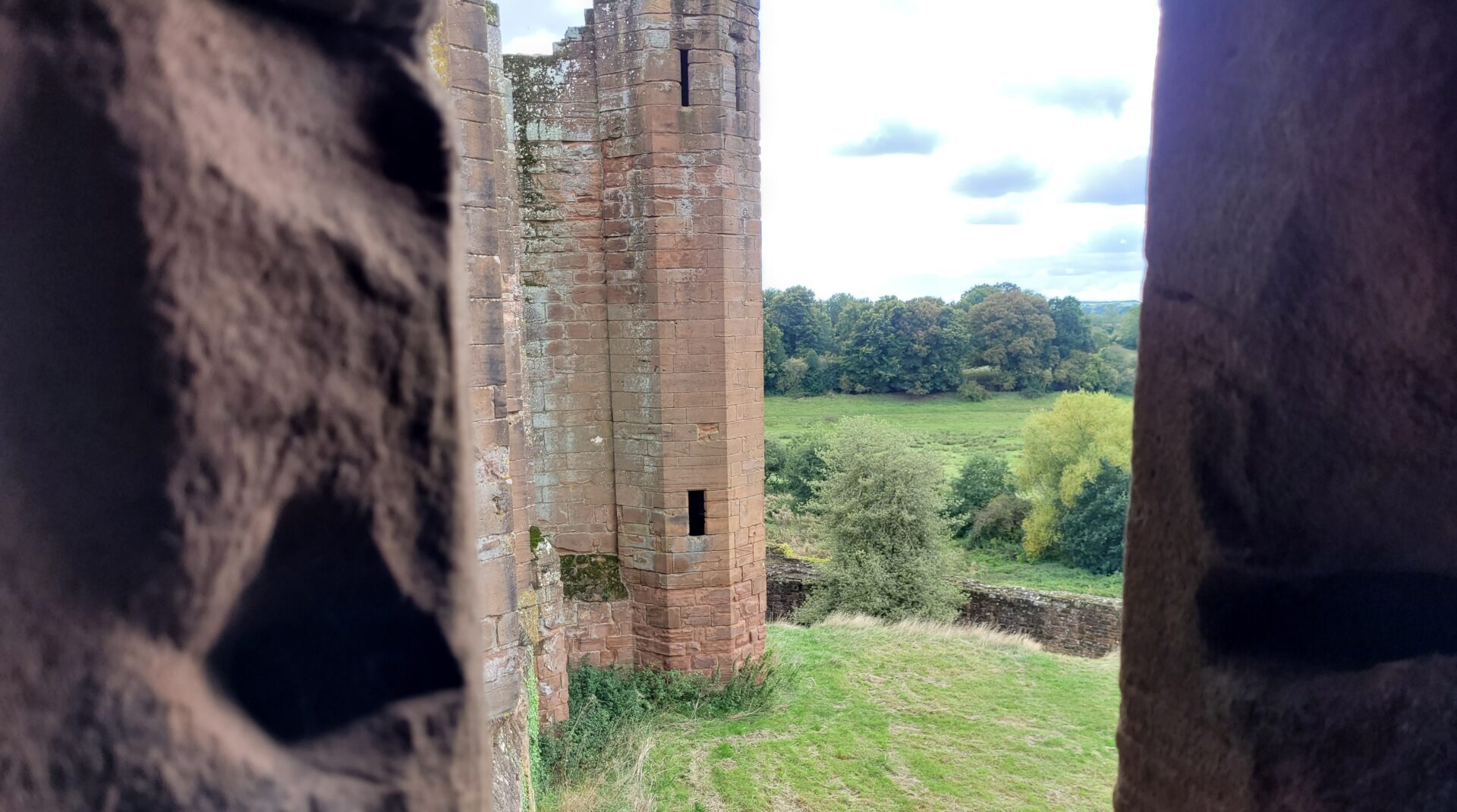 公園で目にした、幼い子供の無邪気な暴力性